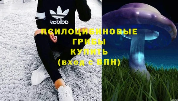 стаф Киреевск