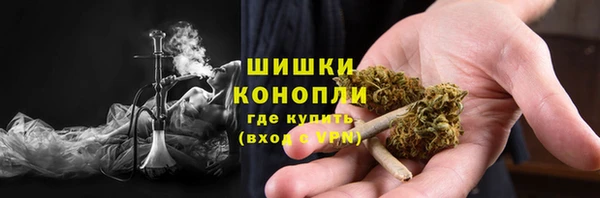 стаф Киреевск